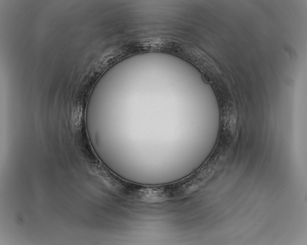 X0000115200660200911121843