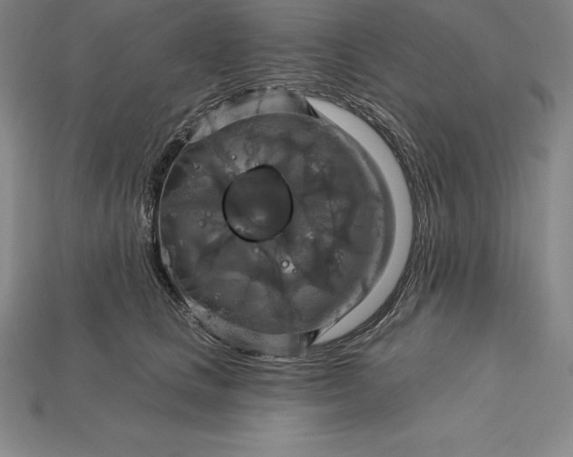 X0000115200661200911121843