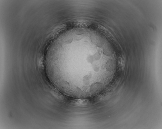 X0000115200663200911121843