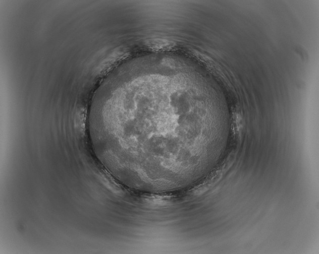 X0000115200664200911121843