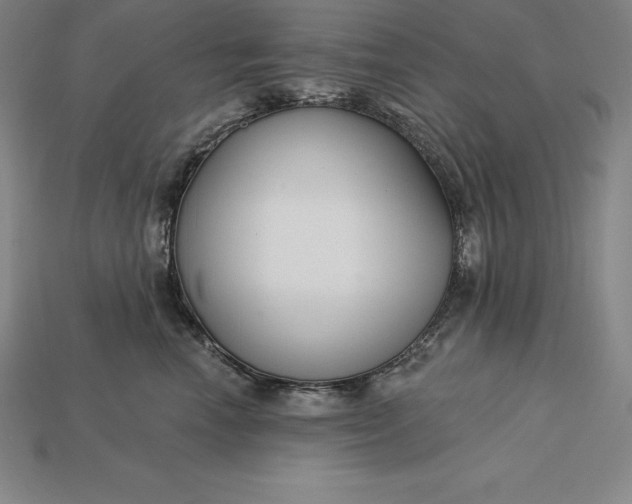 X0000115200666200911121843