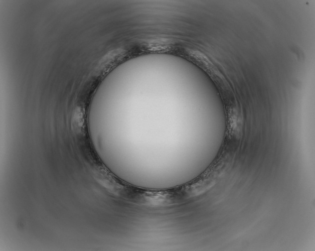 X0000115200667200911121843