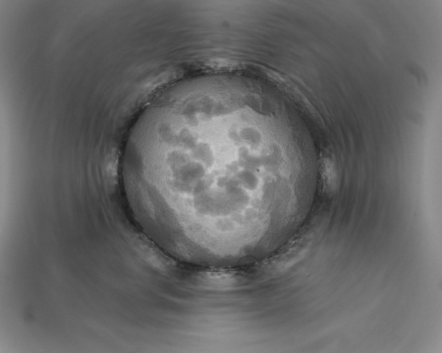 X0000115200668200911121843