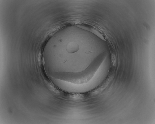 X0000115200670200911121843