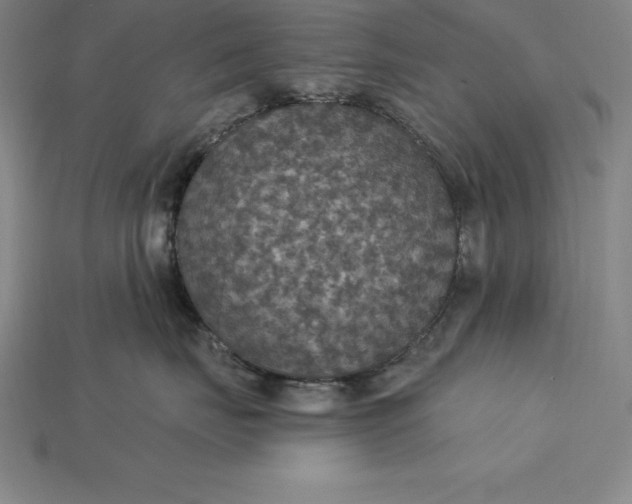 X0000115200671200911121843