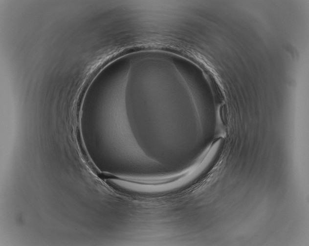 X0000115200673200911121842