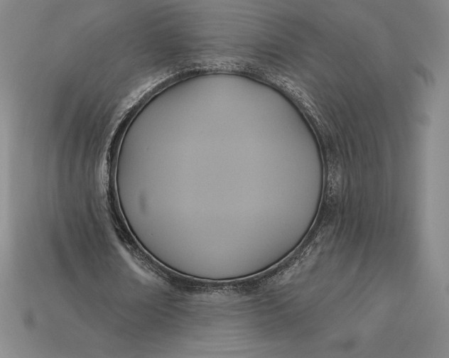 X0000115200674200911121842