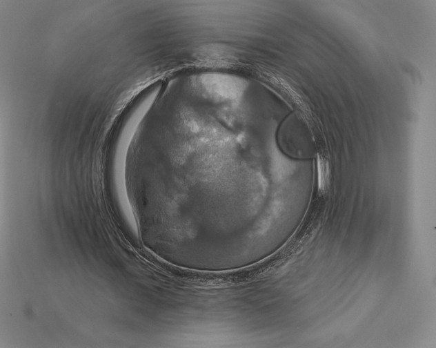 X0000115200675200911121842