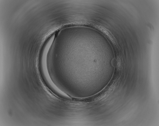 X0000115200677200911121842