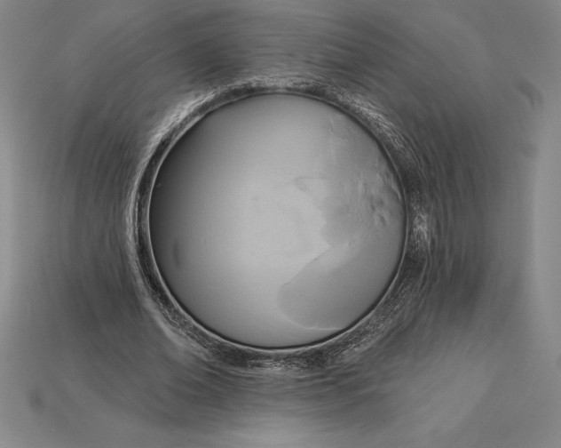 X0000115200678200911121842