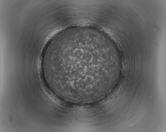 X0000115200679200911121842