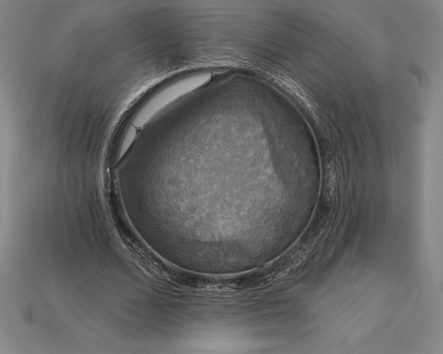 X0000115200680200911121842