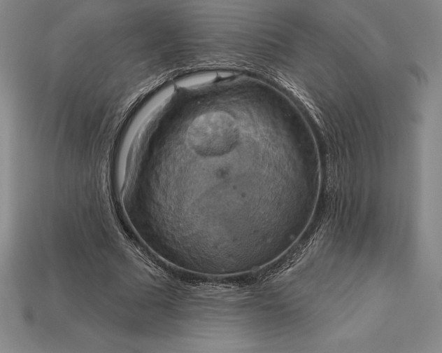 X0000115200681200911121842