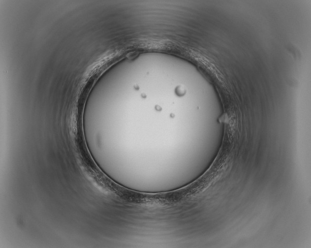 X0000115200682200911121842