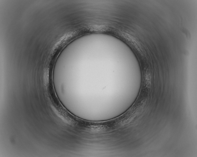 X0000115200686200911121842