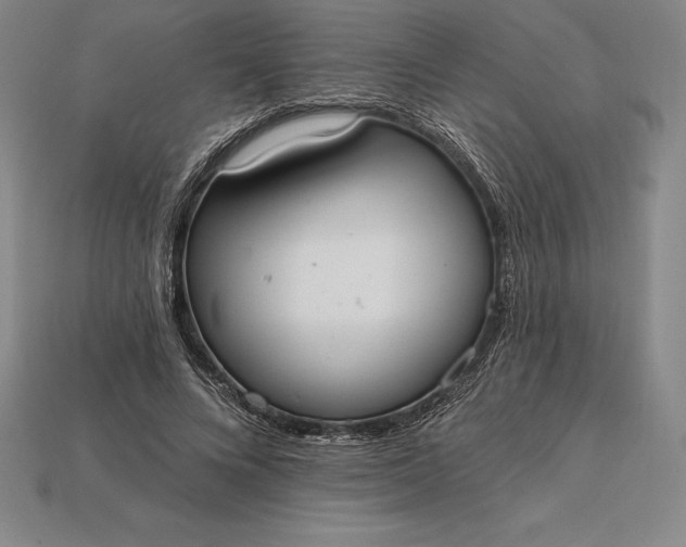 X0000115200688200911121842