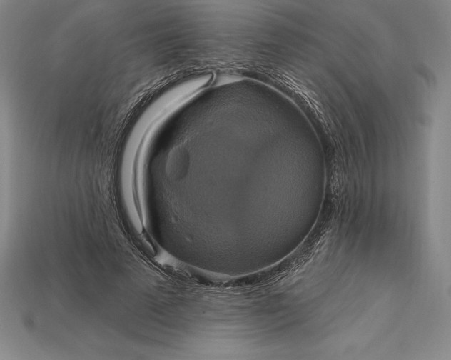 X0000115200689200911121842