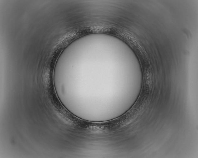 X0000115200690200911121842