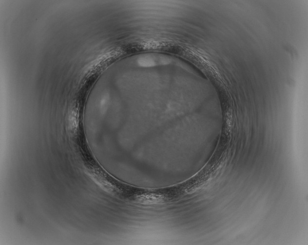 X0000115200691200911121842