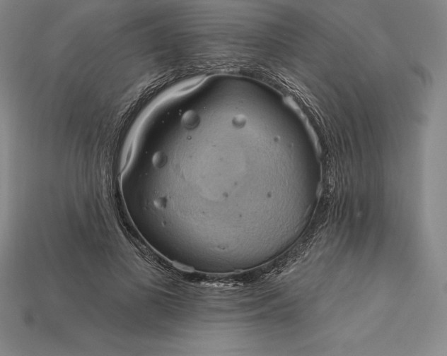 X0000115200693200911121842