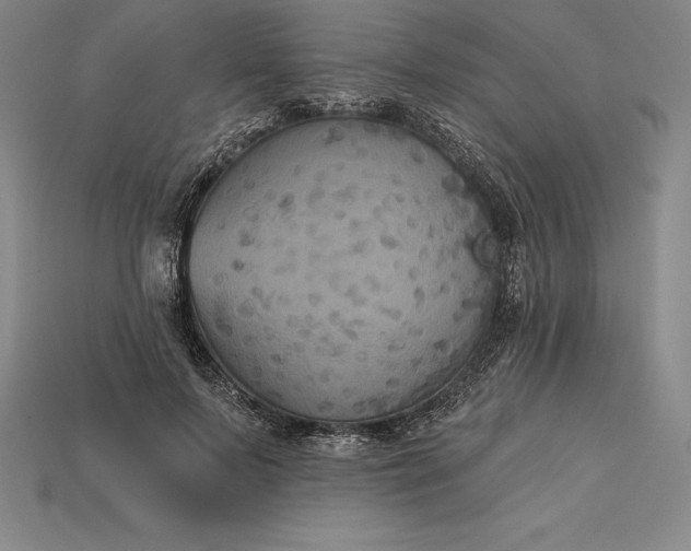 X0000115200695200911121842