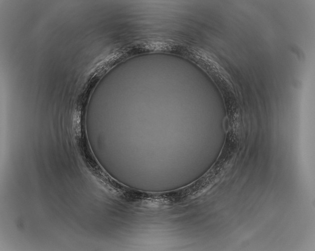 X0000115200696200911121842