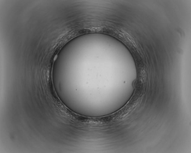 X0000115200697200911121842