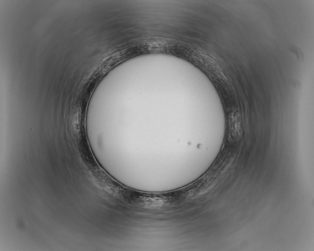 X0000115200698200911121842