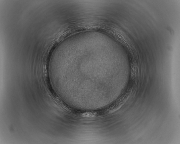 X0000115200700200911121842