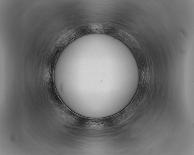 X0000115200702200911121842