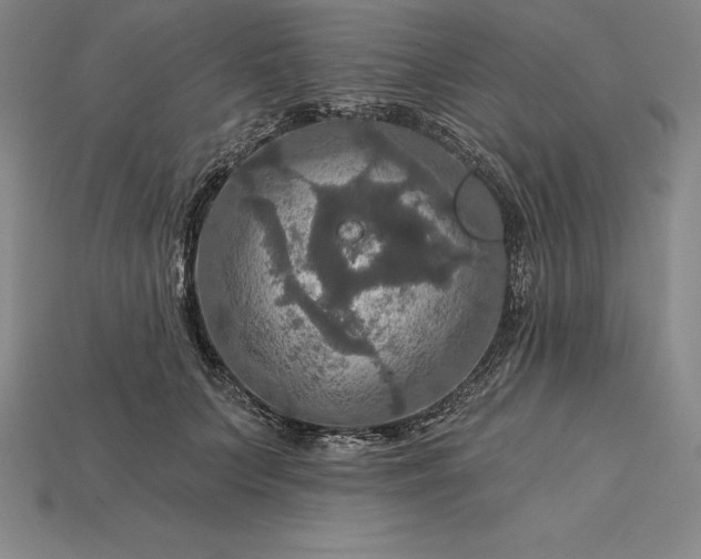 X0000115200703200911121842