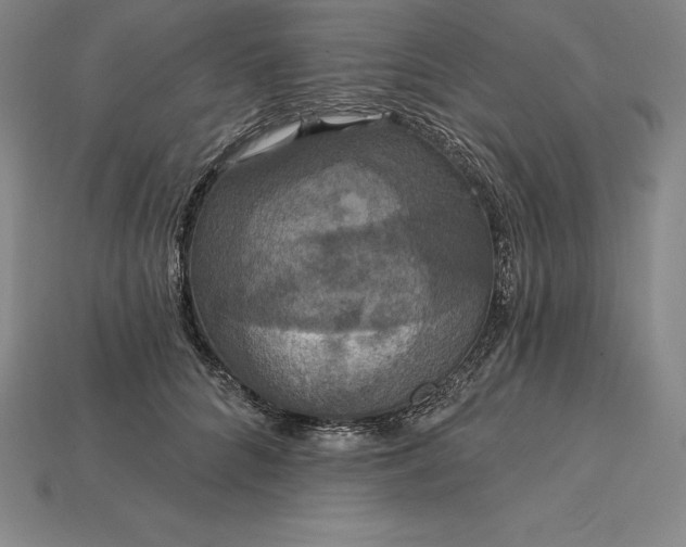X0000115200704200911121842