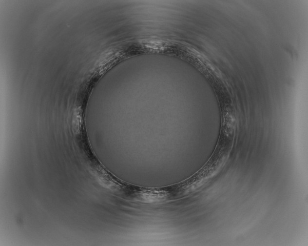 X0000115200707200911121842