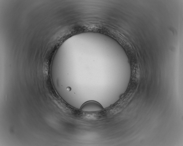 X0000115200710200911121842
