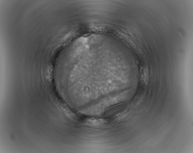 X0000115200712200911121842