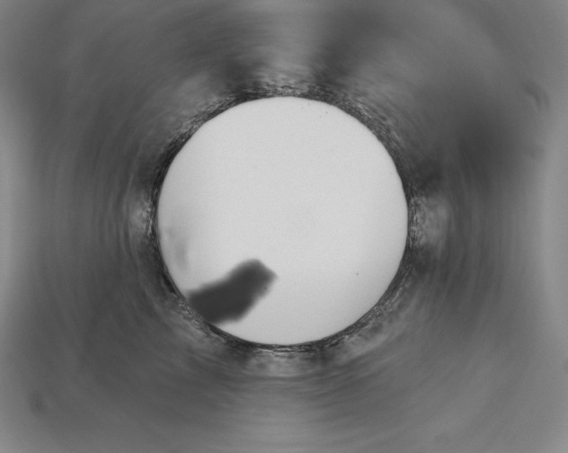 X0000115200713200911121842