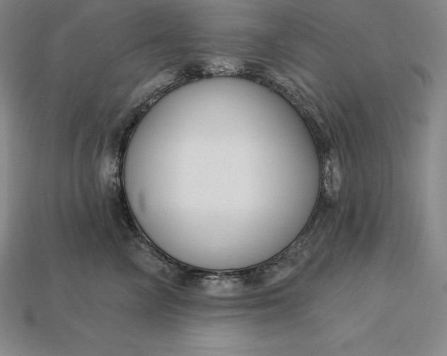X0000115200714200911121842