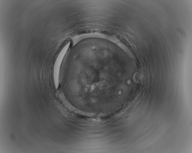 X0000115200715200911121842
