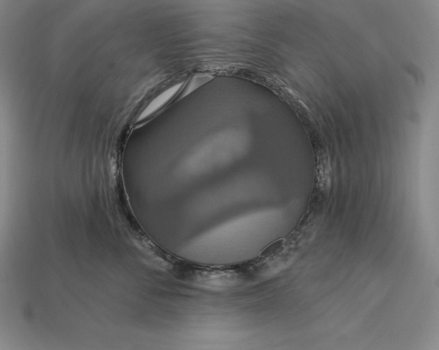 X0000115200716200911121842