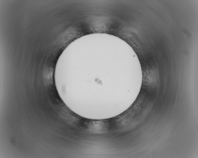 X0000115200717200911121842