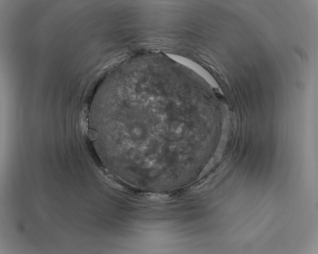 X0000115200719200911121842
