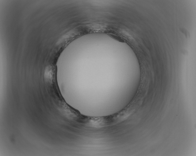 X0000115200720200911121842