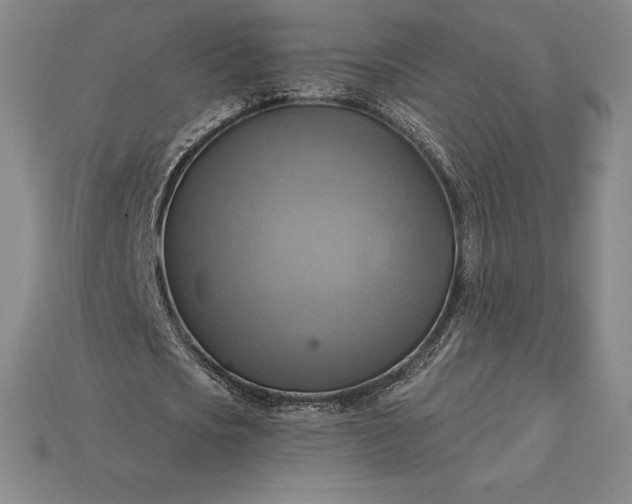 X0000115200721200911121841
