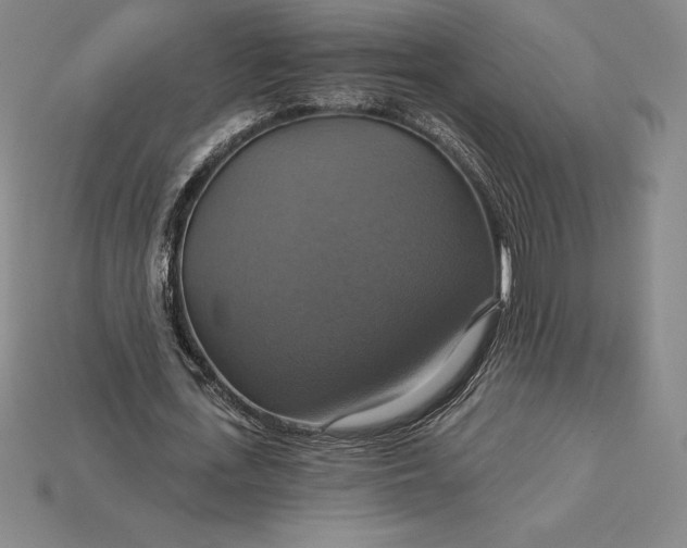 X0000115200723200911121841