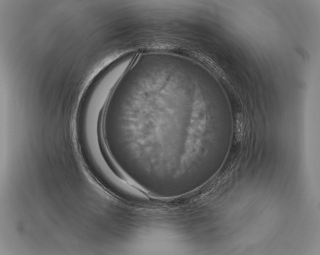 X0000115200726200911121841
