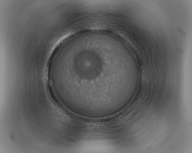 X0000115200727200911121841