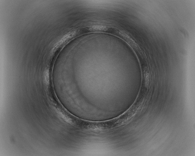 X0000115200729200911121841