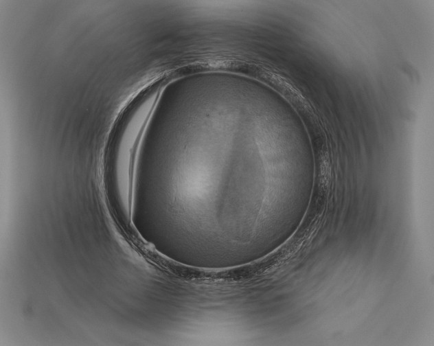 X0000115200730200911121841