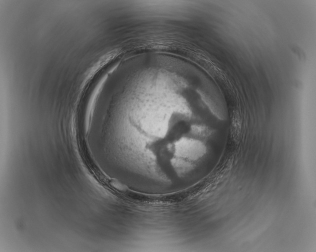 X0000115200734200911121841