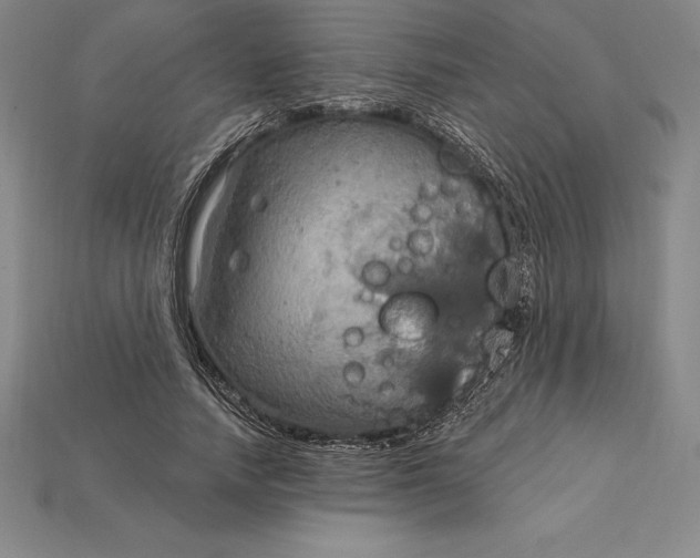 X0000115200738200911121841